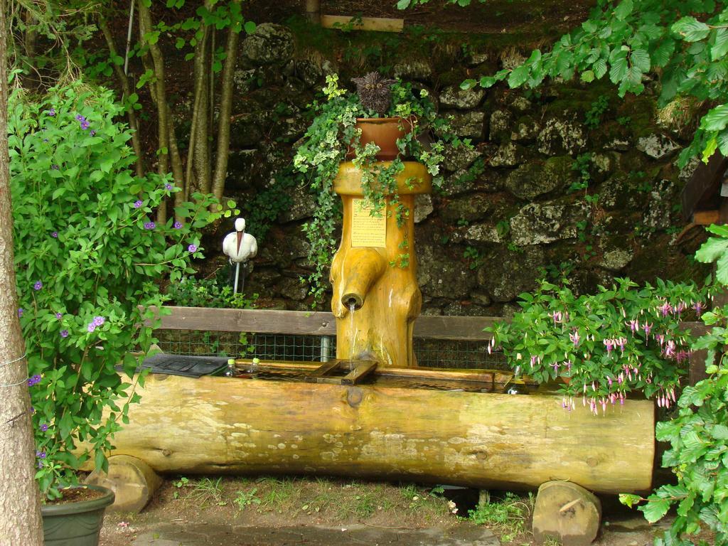 芬斯特诺泰弗住宿加早餐旅馆住宿加早餐旅馆 外观 照片